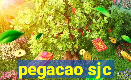 pegacao sjc